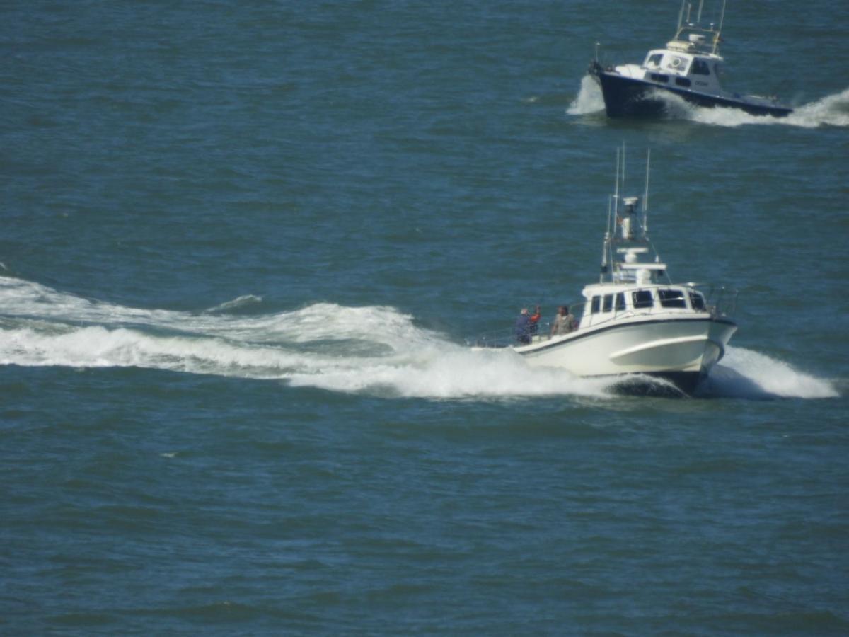 Seacityview Oostende Ngoại thất bức ảnh